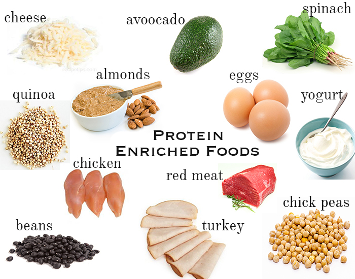 Protein and Fat Loss: The Unbreakable Link